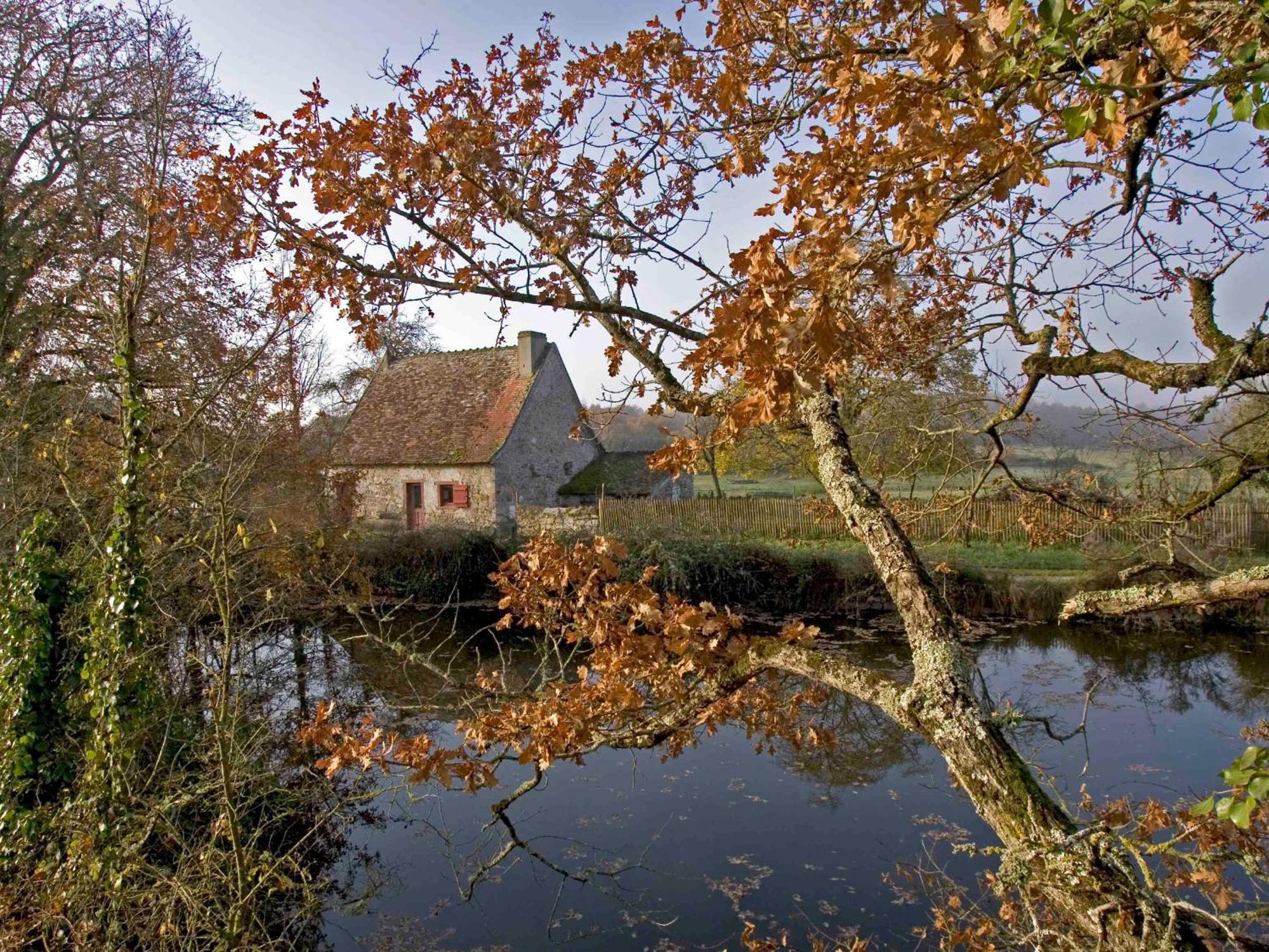 Sejour Nature Au Coeur Du Parc De La Brenne: Gite 4 Chambres, Jardin Et Terrasse, Proche De Rosnay - Fr-1-591-141 Dış mekan fotoğraf